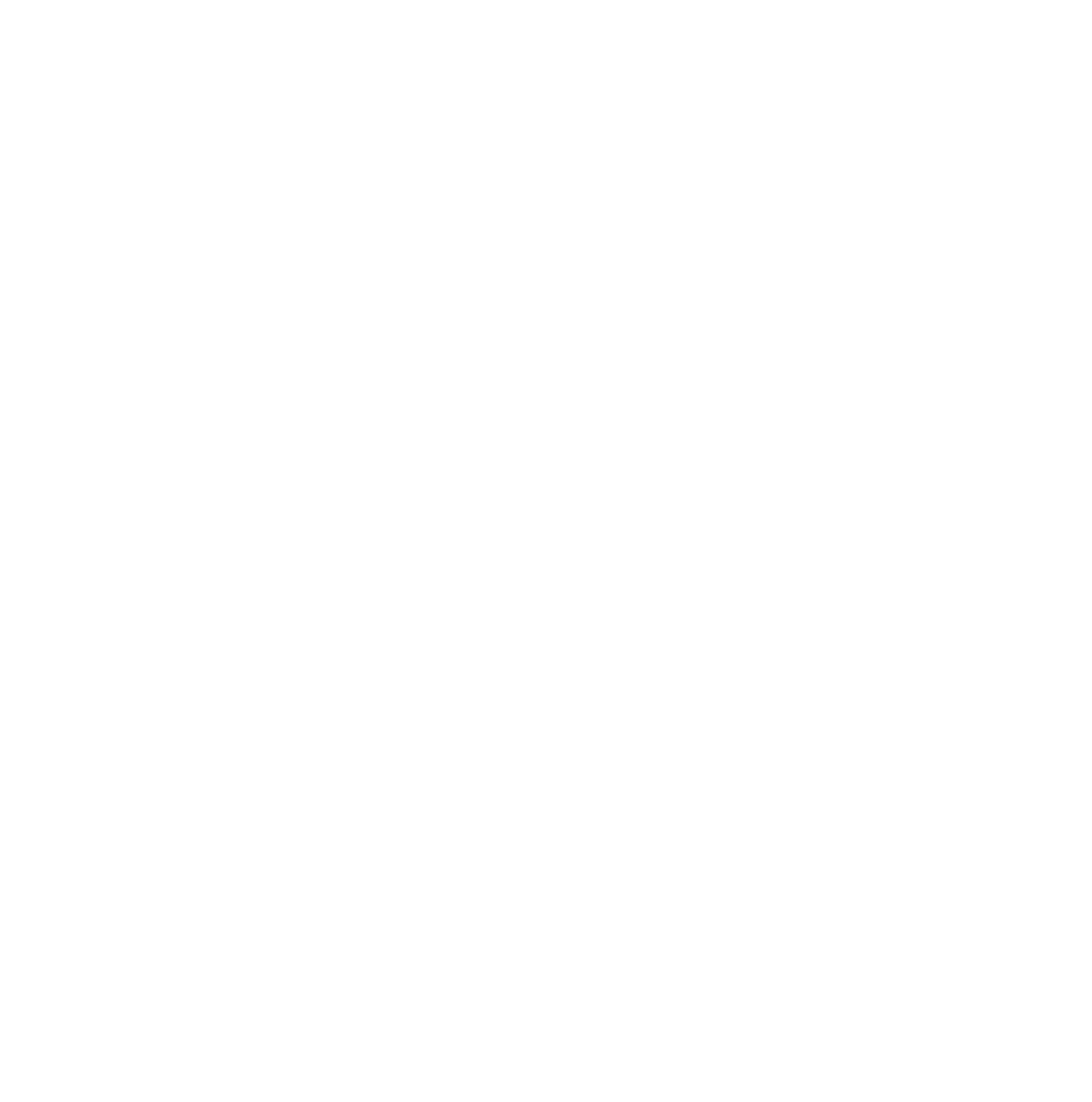 Whatever Makesense Studio Logo